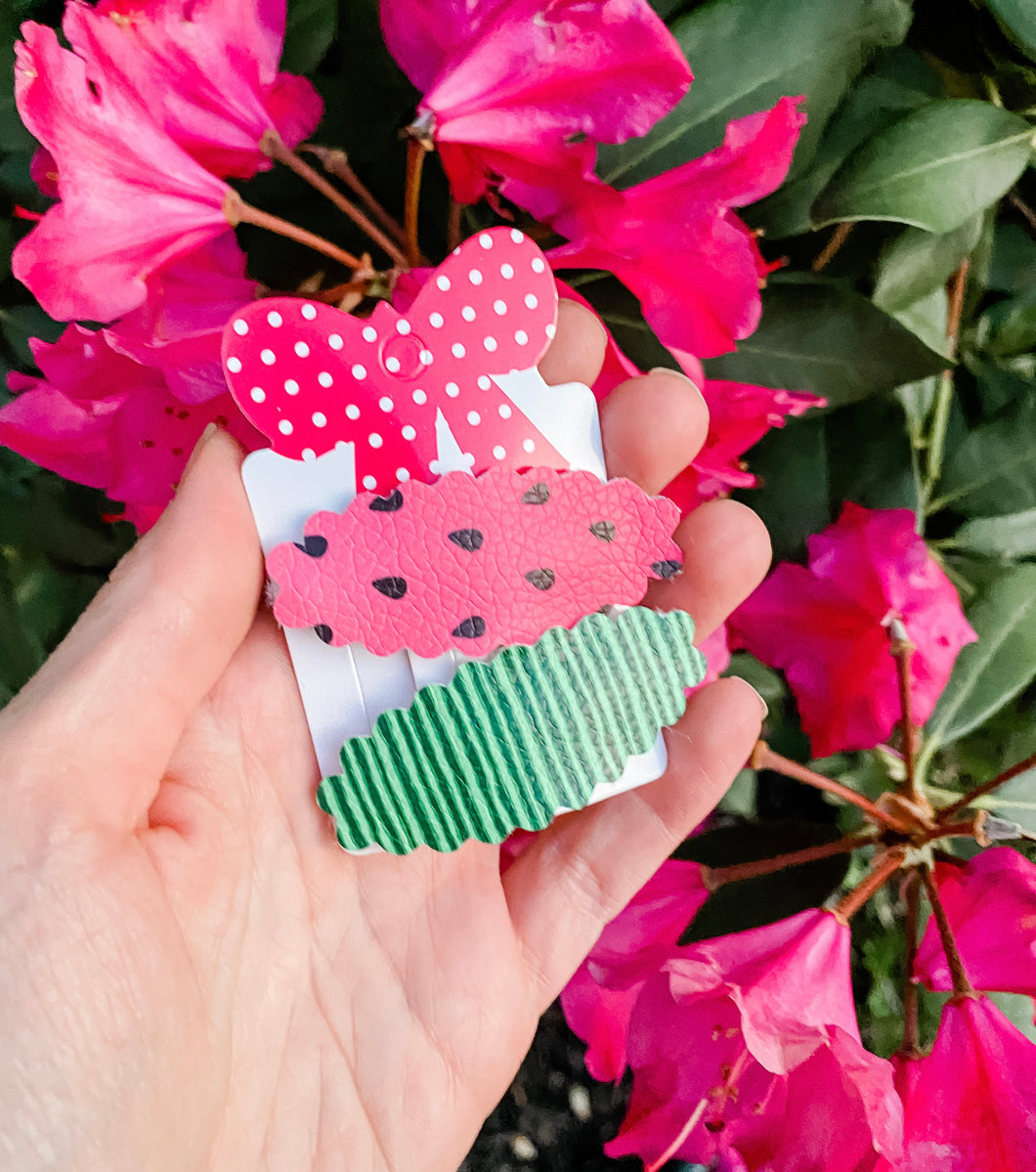 Scalloped Watermelon SET OF 2 Snap Clips